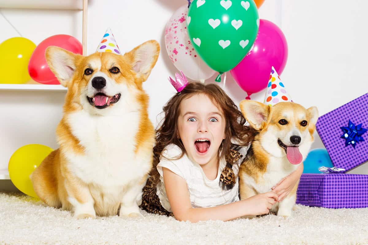 fête anniversaire enfant thème animaux