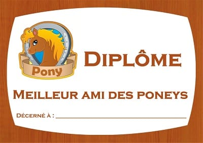 Chasse Au Tresor Animaux De La Ferme Poney Le Reve De Pony