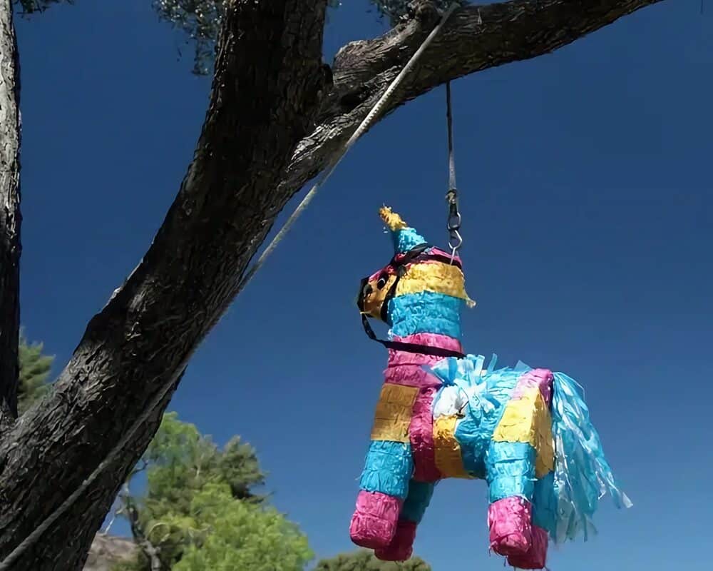 pinata accrochée à un arbre