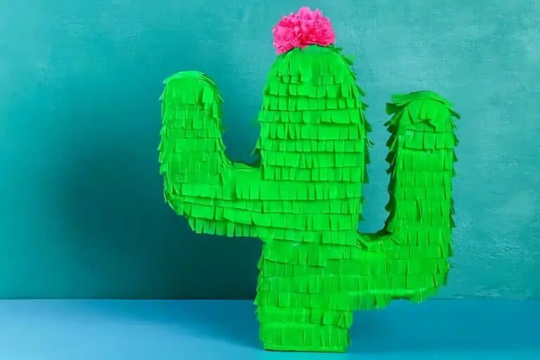 pinata cactus