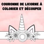 Couronne de licorne